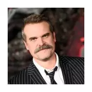 David Harbour Exits Film 'Behemoth!' to Rest After Stranger Things Finale