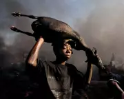 Ed Kashi's 45-Year Photographic Journey: A Front Row Seat to Global History