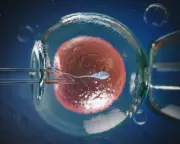 Egg 'Rejuvenation' Breakthrough Could Transform IVF for Older Women
