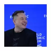 Elon Musk's Greenland Joke Falls Flat at Davos Amid Trump Peace Board Controversy