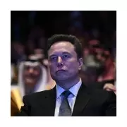 Elon Musk's 'Then it is war' reply to TikTok death threat sparks political firestorm