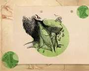 Experts Reveal How Micro-Breaks and Gentle Movements Can Ease Neck Tension