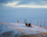 Exploring Global Narratives: A Roundup of Recent Translated Fiction