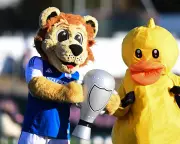 FA Cup Fourth Round Draw: Gerrard Hosts as Non-League Giants Await