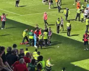 Football fan jailed for 22 weeks after injuring own team's player with seat