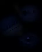 Former Prison Officer's Stark Warning: How the System Fuels Violence