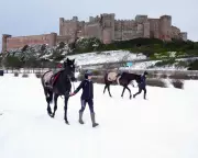 Frost Threatens Kempton and Warwick Racing: Saturday Inspections Called