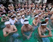 Global Weekend in Pictures: Ice Baths, Protests, and Sunflower Walks