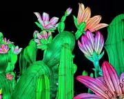 Guardian Readers' Stunning Photo Collection: From Lanterns to Parakeets