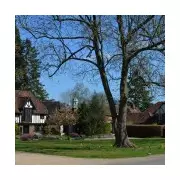 Harpenden Crowned UK's Most Desirable Place to Live for 2026