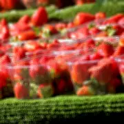 Harrods' £15 Japanese Strawberry Leaves TikToker Speechless