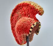 Hawaii's Story at the British Museum: Feathers, Gods & a Doomed Diplomatic Mission