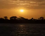 Historic Heatwave Shatters Records Across Australia with Temperatures Nearing 50°C