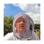 Isle of Wight beekeeper, 55, dies from allergic reaction after bee sting