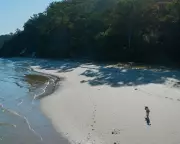 K'gari Dingo Attack: Campsites Closed After Canadian Tourist's Death