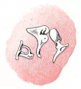 Kids' Quiz: Can You Name the Smallest Bone in the Human Body?