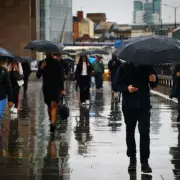 London Braces for Soaking Deluge: 0.8mm/Hour Rain Predicted for January 24