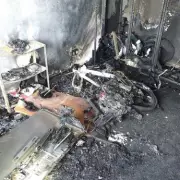 London E-Bike and E-Scooter Fires Reach Record High, Survivor Compares Blaze to Grenade