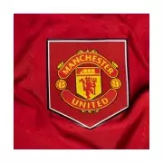 Manchester United Snub Darren Fletcher After Cup Exit, Michael Carrick Now Favourite