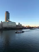 Marketing Expert Backs UK Junk Food Ad Ban: A New Era for Creativity