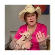 Mickey Rourke Slams 'Humiliating' GoFundMe for $60k Eviction Fight