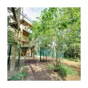 Murder probe after teen stabbed to death in Guildford woodland