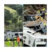 New Zealand Landslide Tragedy: Children's Cries Heard Before Silence Falls