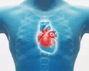 NHS Urged to Expand Heart Valve Clinics to Tackle Ethnic Treatment Disparities