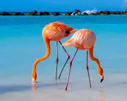 Nine Scientific Breakthroughs We Hope to See in 2026: From Earworms to Geese