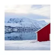 Nordic Dressing Secrets: How to Survive the UK's Arctic Blast