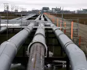 Oil Prices Plunge 20% in 2025, Marking Steepest Annual Fall Since Pandemic