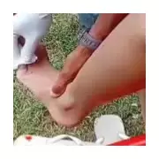 Piranha Attack in Brazil: Woman Bitten in Lagoon, Tenth Incident in Weeks