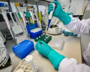 Porton Down Shake-Up Harms National Security Science, Whistleblower Alleges