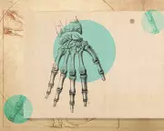 Protecting Your Wrists: Expert Advice on Preventing Common Injuries