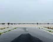 Queensland Floods: Travellers Ignore AI, Seek Local Wisdom as Towns Isolate