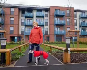 Rainbow Way: Somerset's Council Housing Success Story Highlights National Challenges