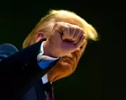 Readers Challenge Global Order Hypocrisy Over Gaza and Greenland