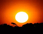 Renters Demand Minimum Standards as Heatwave Exposes Housing Crisis