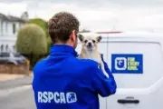 RSPCA Seeks New Animal Rescue Officers in London Amid Rising Demand