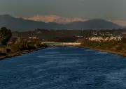 Sea Lion Confetti Recovers in LA After Surviving Two Bullet Wounds to Head