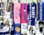 Sheffield Wednesday Takeover Stalled as EFL Probes Gambling-Linked Funding