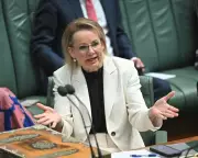 Sussan Ley's Leadership Future in Doubt Amid Coalition Rifts