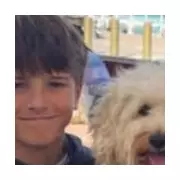 Sydney Boy, 12, Dies After Shark Attack in Harbour While Swimming with Friends