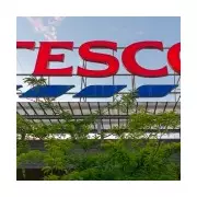 Tesco Revives Iconic 90s Value Stripes in Major Price War with Aldi and Lidl