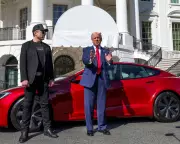 Tesla's EU Sales Slump to 1.4% as Chinese EV Rivals Surge