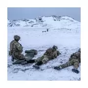 Trump's Greenland Threats Could Spell the End for NATO, Warn Experts