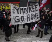 Trump's Tariff Threat Over Greenland Aims to Divide Europe, Says Analysis