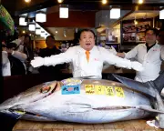 Tuna King Pays Record £2.4m for Giant Bluefin at Tokyo's New Year Auction