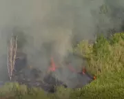 Two Killed in Gold Coast Plane Crash That Ignites Bushfire