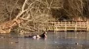Two Men Stranded in Icy Essex Lake After Attempting Dog Rescue